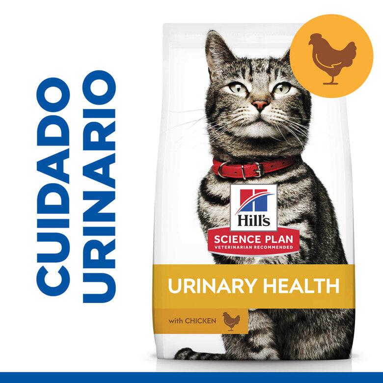 Hill's Urinary Pollo pienso para gatos, , large image number null
